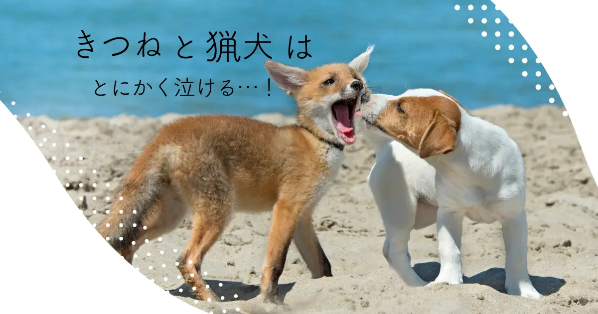 きつねと猟犬　泣ける